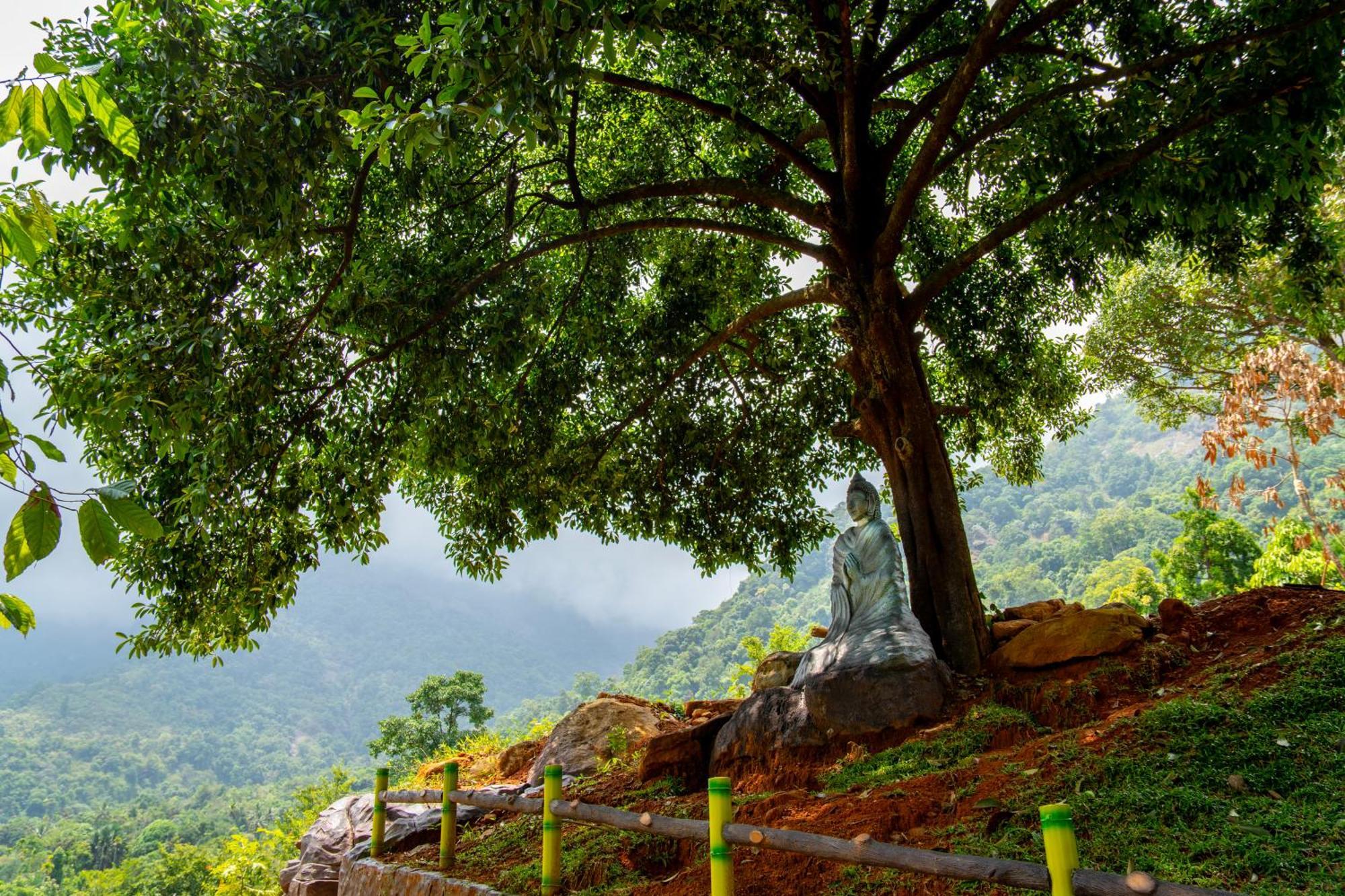 Karimb Resorts Vallikavungal Luaran gambar